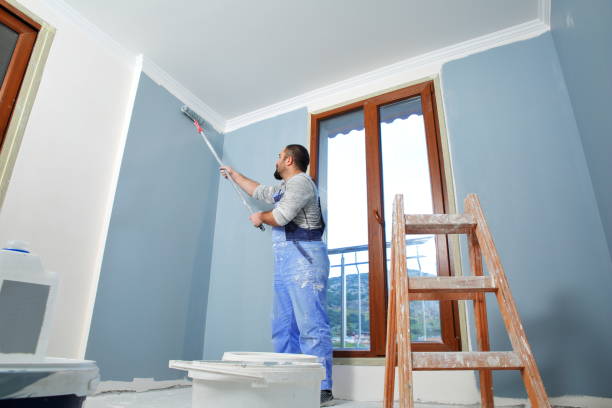 Best Repainting for Renovations  in The Plains, OH