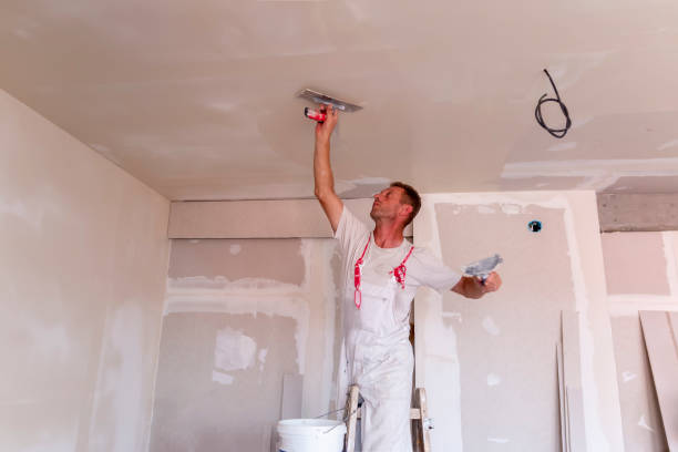 Best Drywall Installation  in The Plains, OH